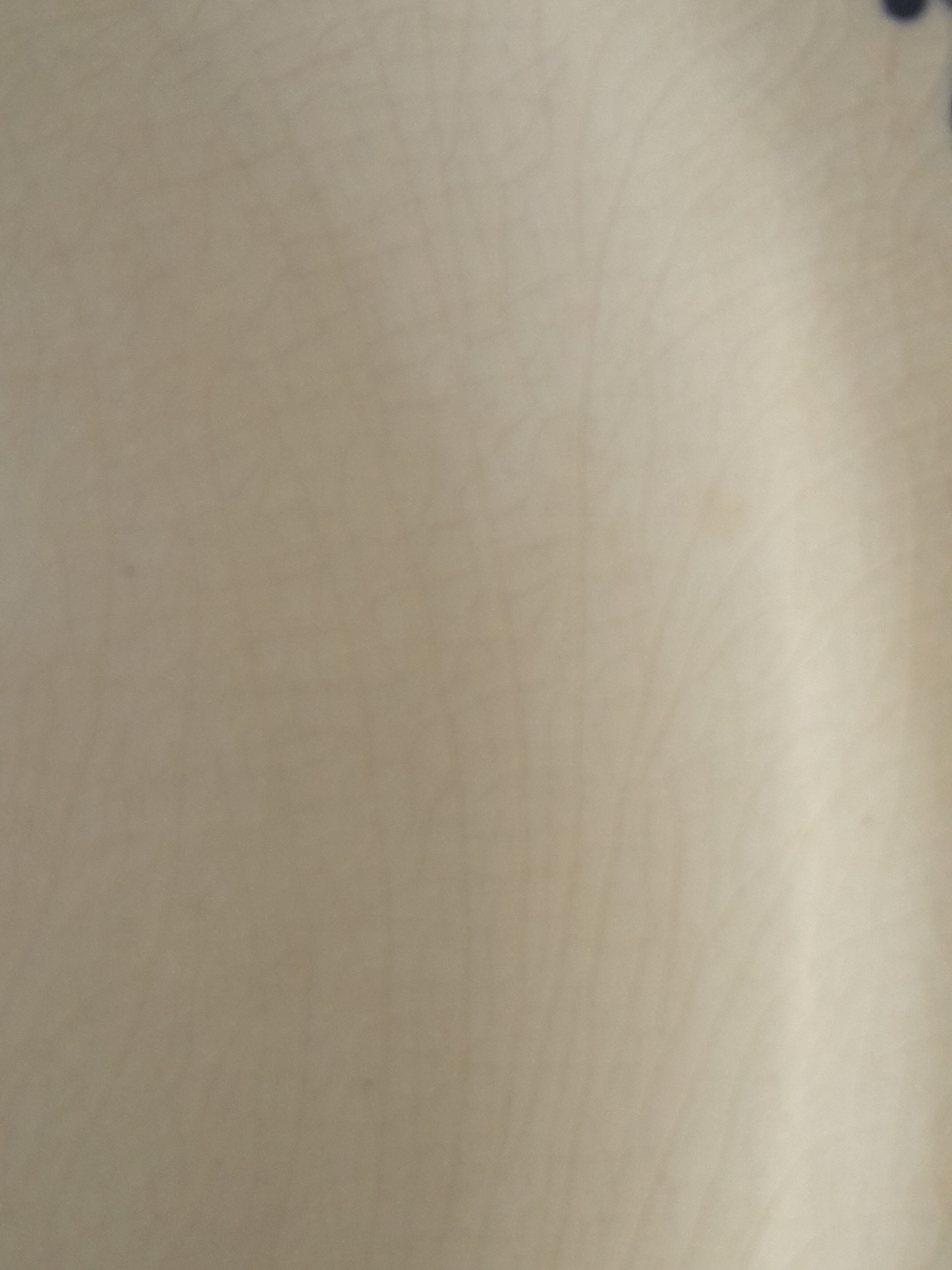 Gien earthenware plate decor bush diam 24.5 cm