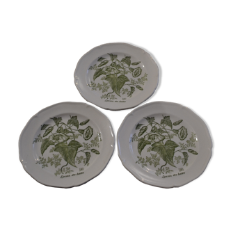 Set of dessert plates Gien model Hedge bindweed