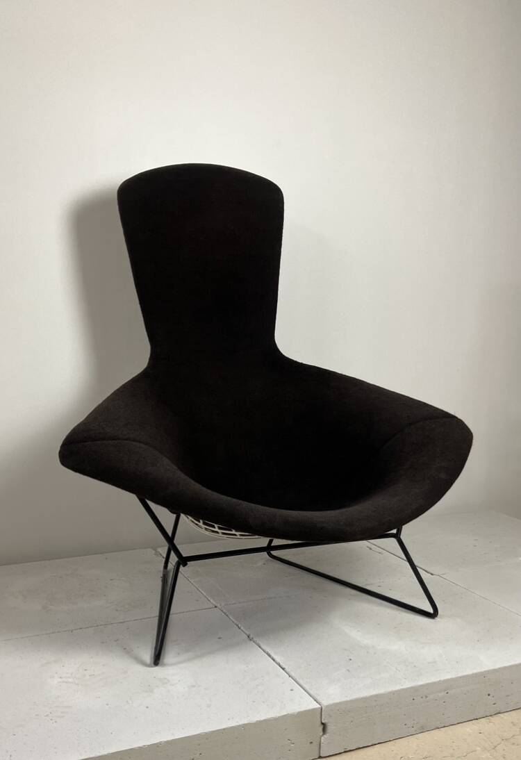Model Bird armchair by Harry Bertoia for Knoll, 1970s