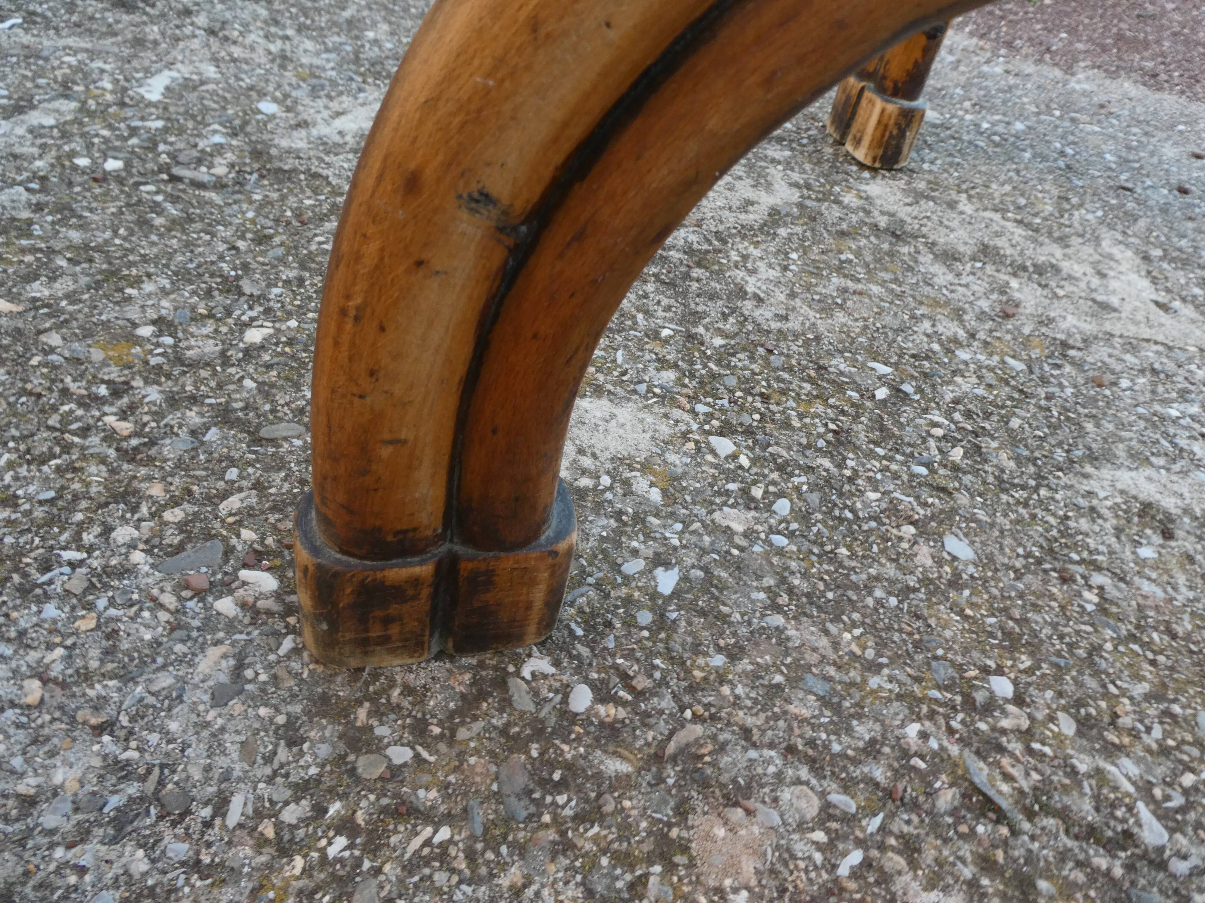 Parrot coat rack in curved wood - Art Nouveau
