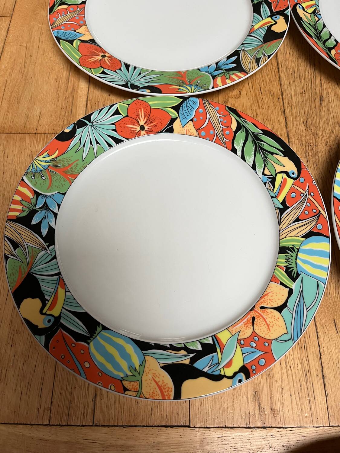 5 Pillivuyt "Toucan" plates