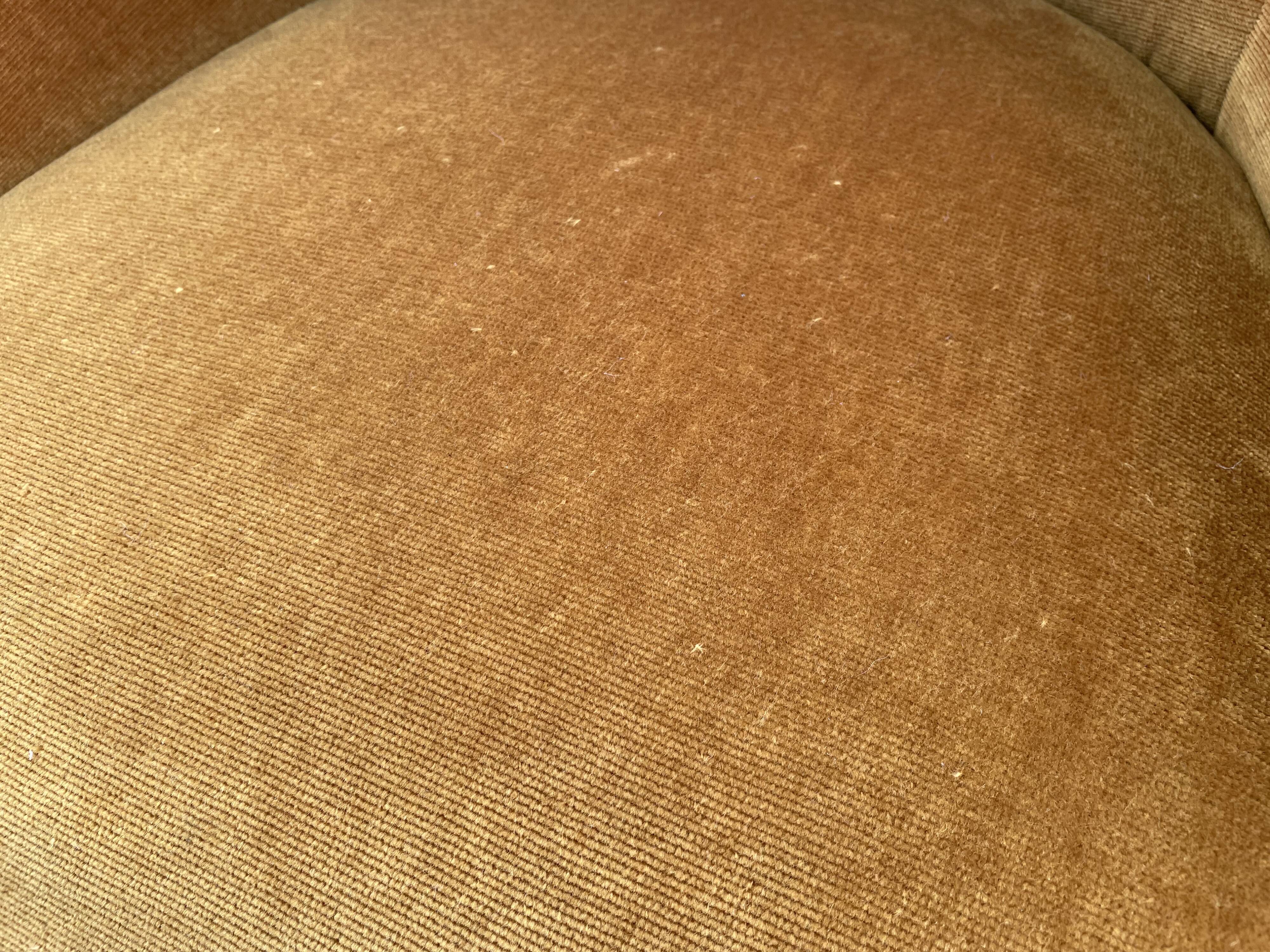 Padded golden yellow velvet toad