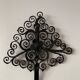 Old wall plant door