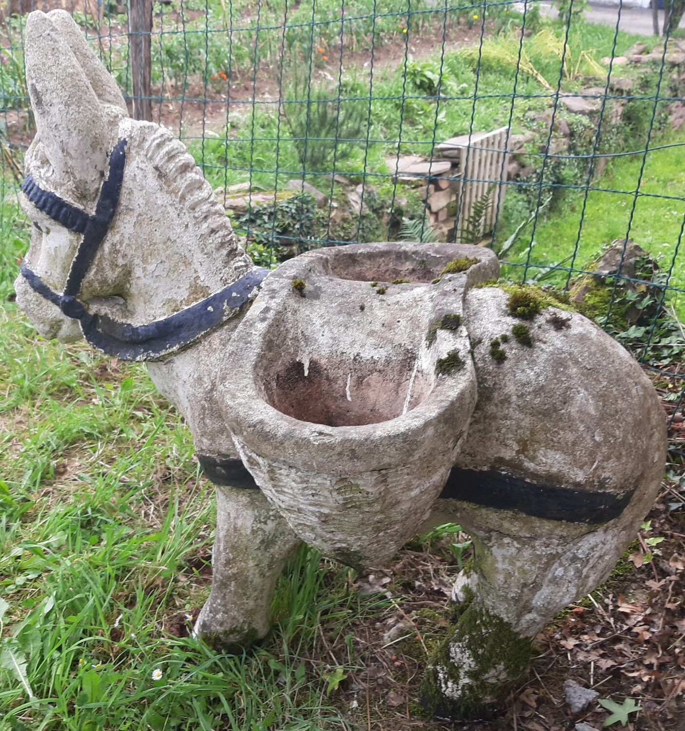 Âne jardinière année 60-70
