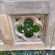 Boiserie claustra style gothique