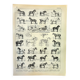 Gravure ancienne de 1897 - Cheval par A. Millot - planche Lithographie