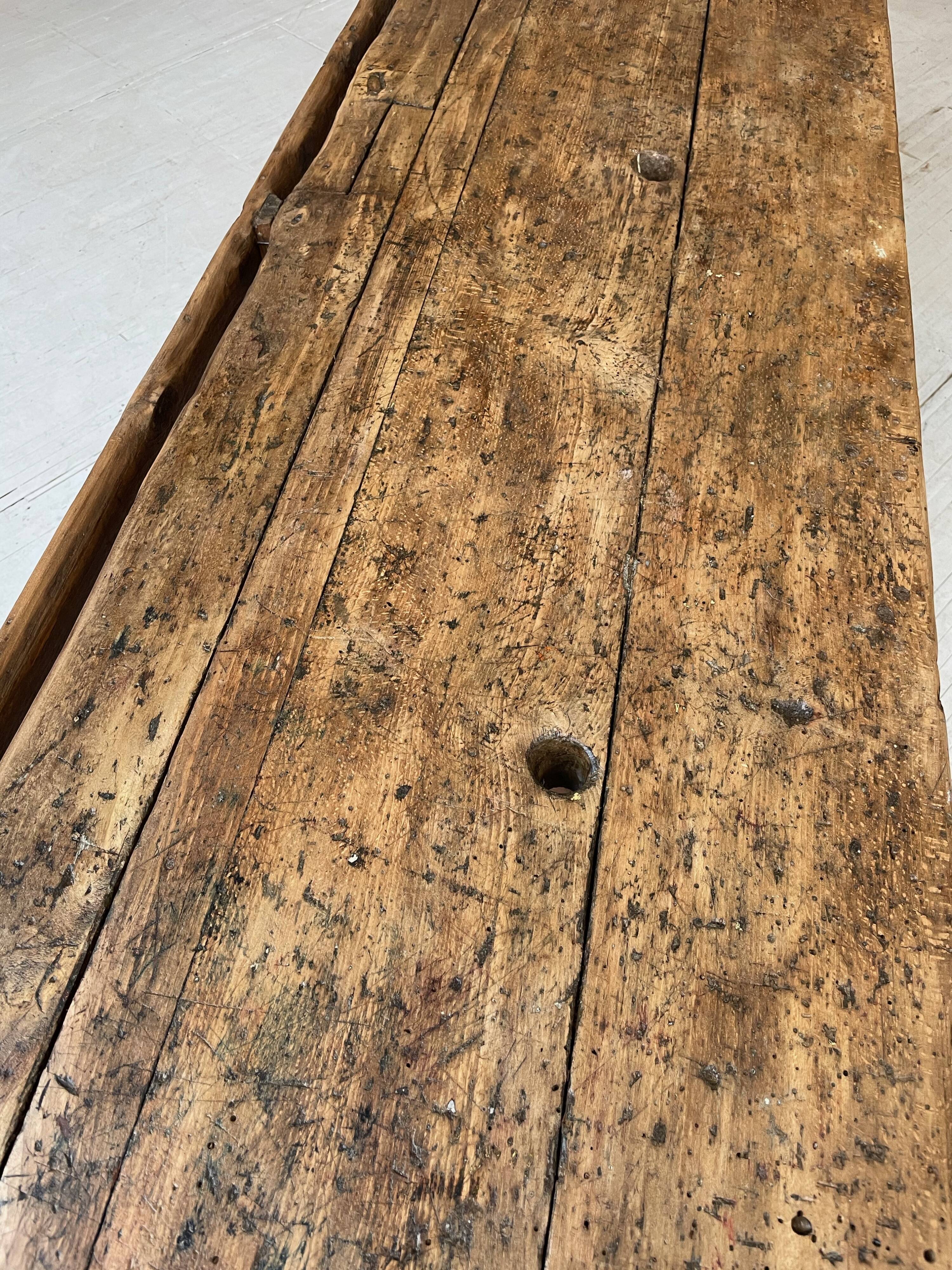 Established old oak XL