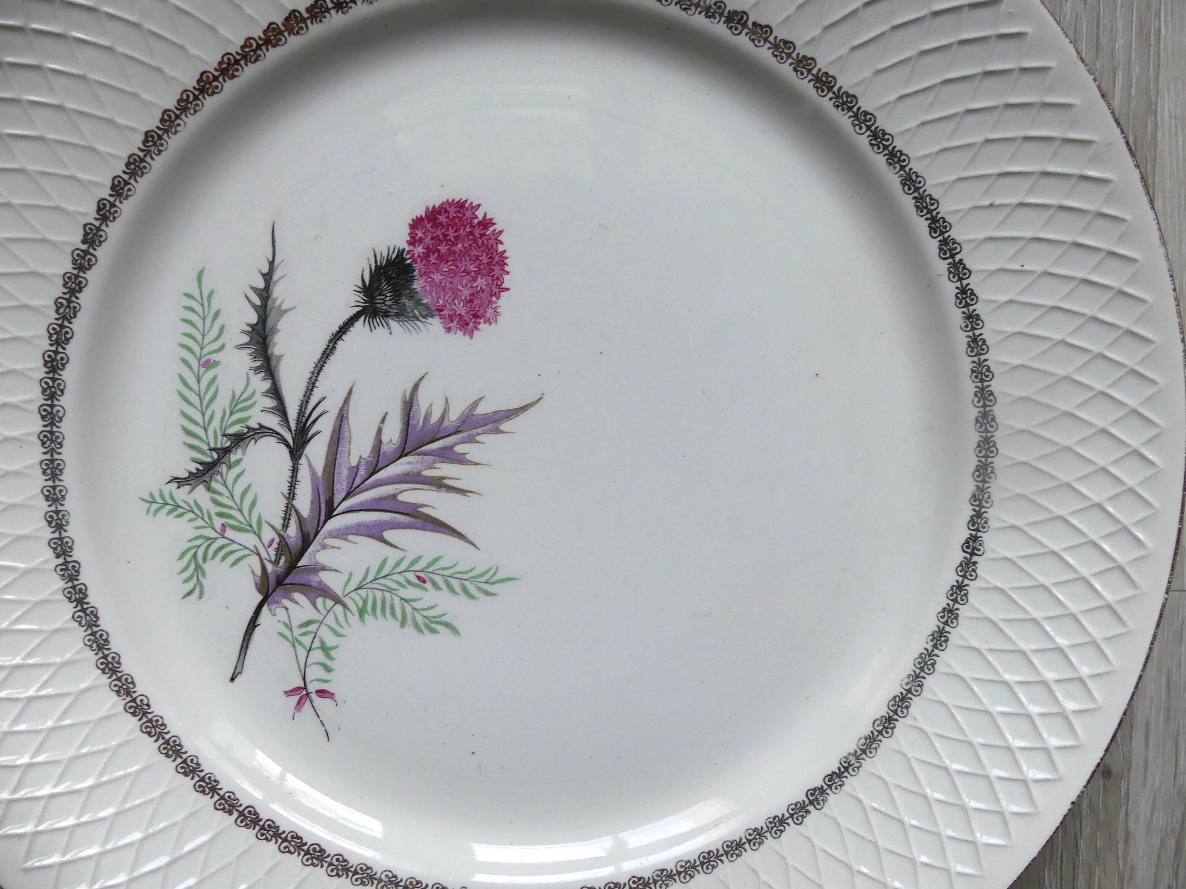 Flat and ravier Moulin des loups Impéria