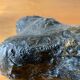 Bronze foot signed S. Gronnier and its plaster print