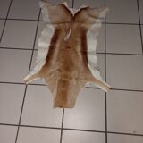 Used natural African animal skin rug (70x100cm)