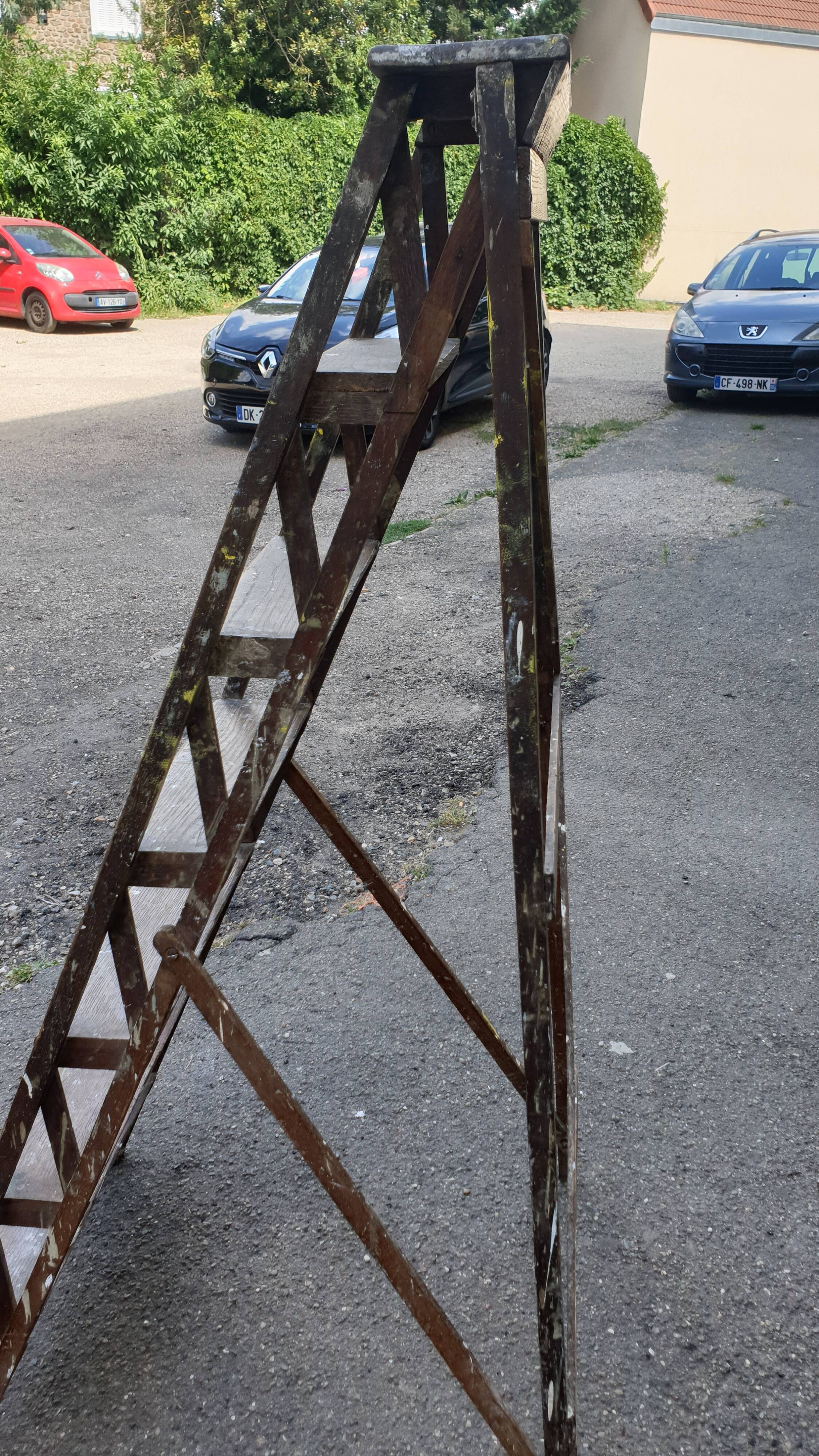 Painter's stepladder in solid beech