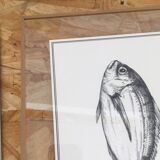 "The Sea Bream"