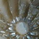Murano bowl/centrepiece