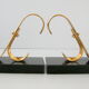 Pair of greenhouse vintage books 1950 Gold Starry