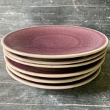 6 flat plates Jars Tourron Purple Uni