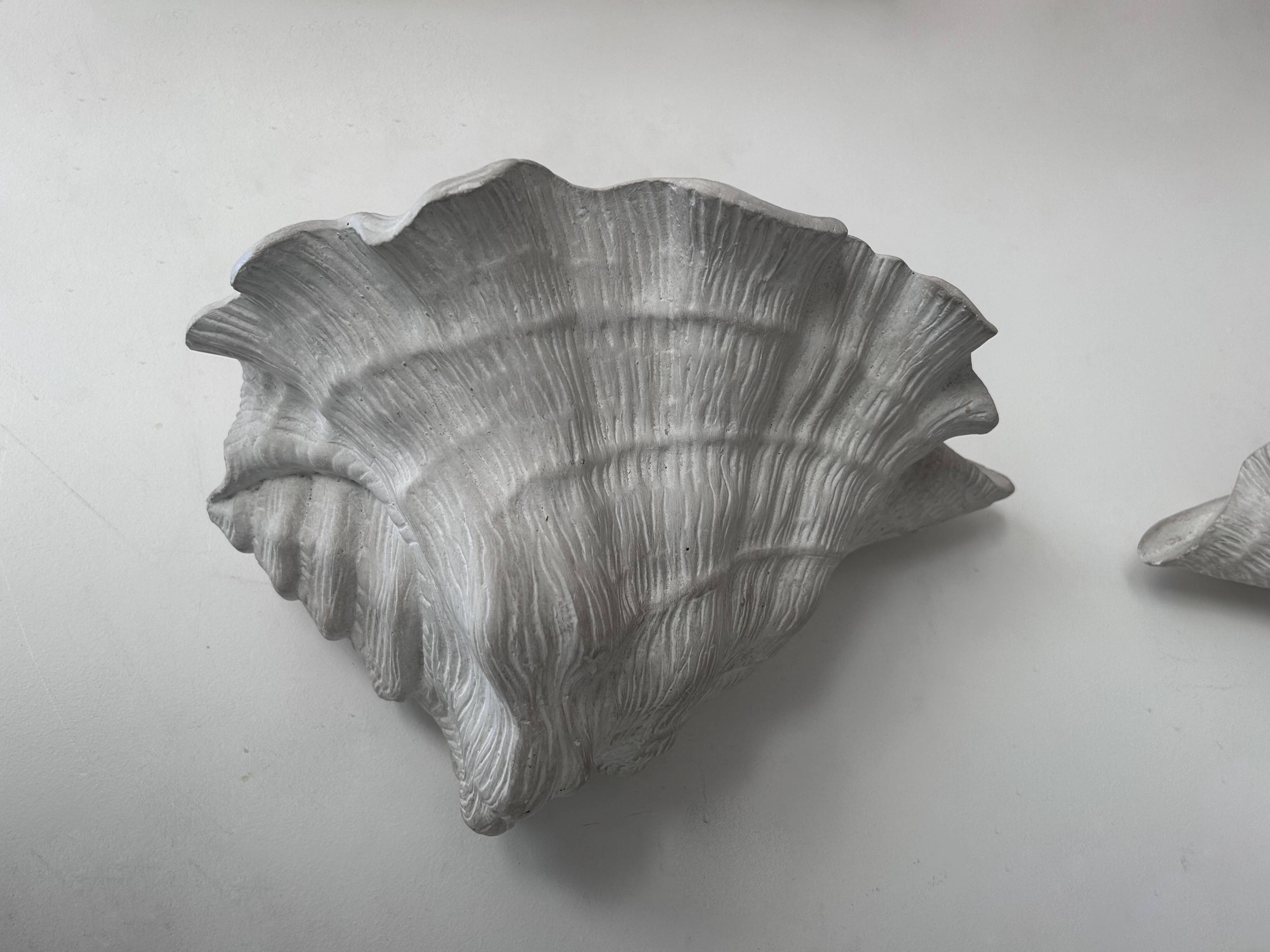 Pair of vintage shell wall lights, matte white plaster, France 1940
