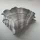 Pair of vintage shell wall lights, matte white plaster, France 1940