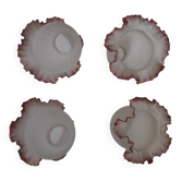 large tulips