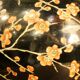 Pied de lampe fleurs de cerisier en porcelaine japonaise, années 50