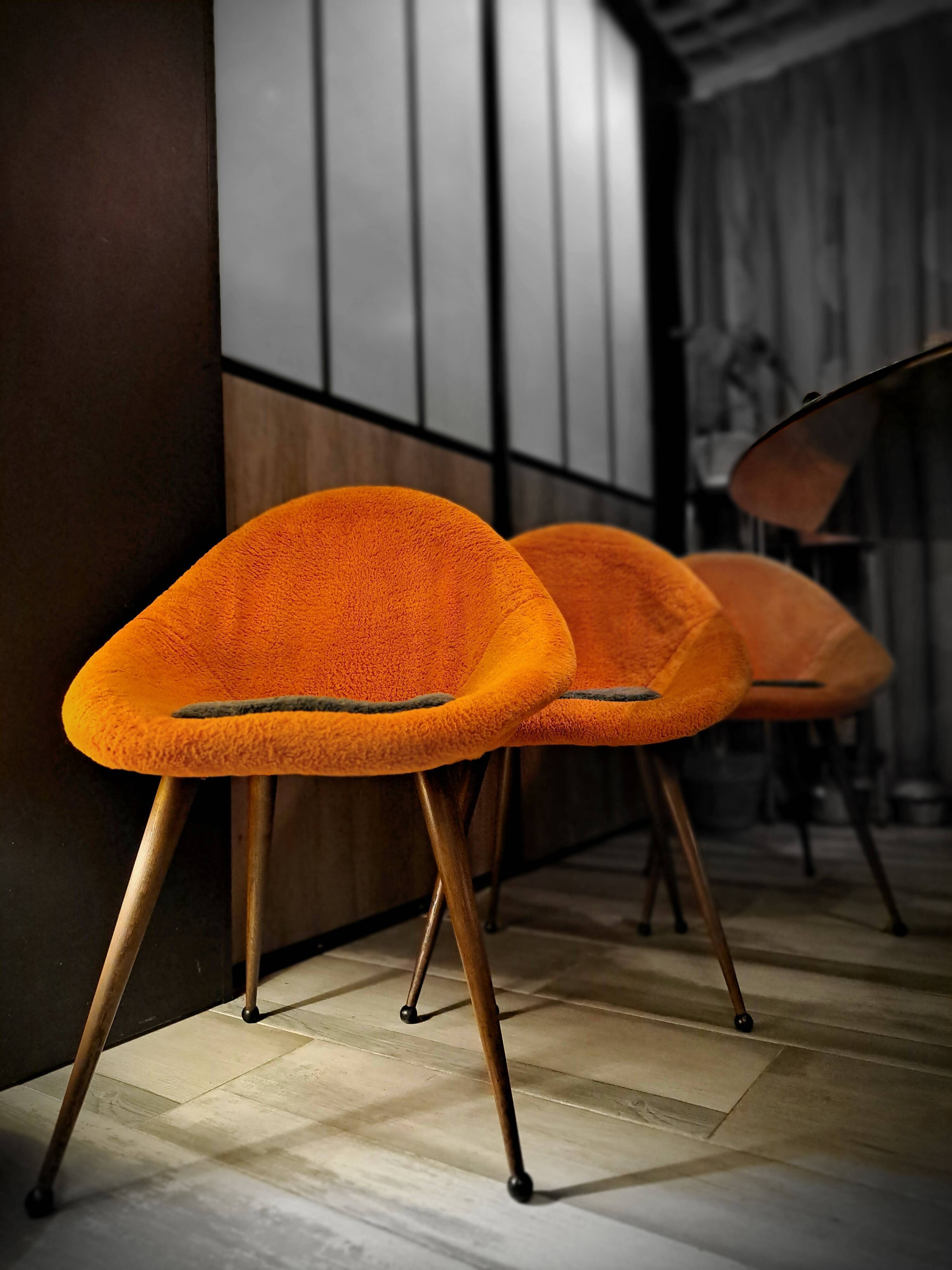 Set of 3 chairs, egg-shaped armchairs with compass legs, 1950