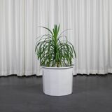 XXL plant pot by Karin Björquist for the Gustavsberg factory, 1980, Sweden