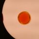 Suspension boule en opaline