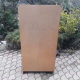 Vintage Shoe cabinet