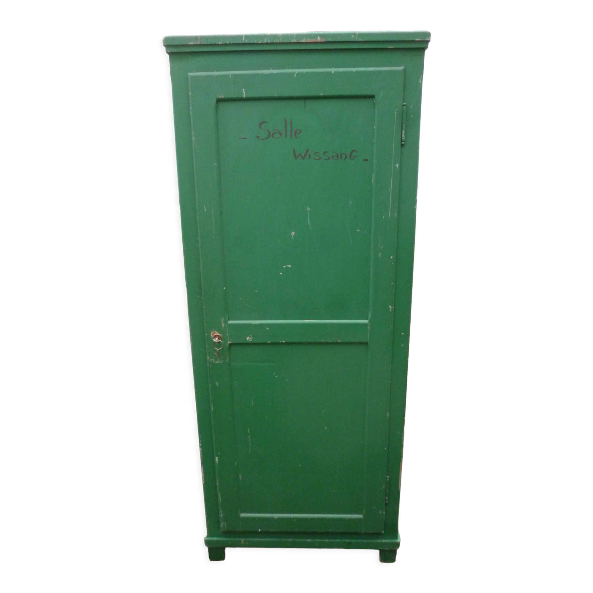 Cabinet 1 door in old fir green patina