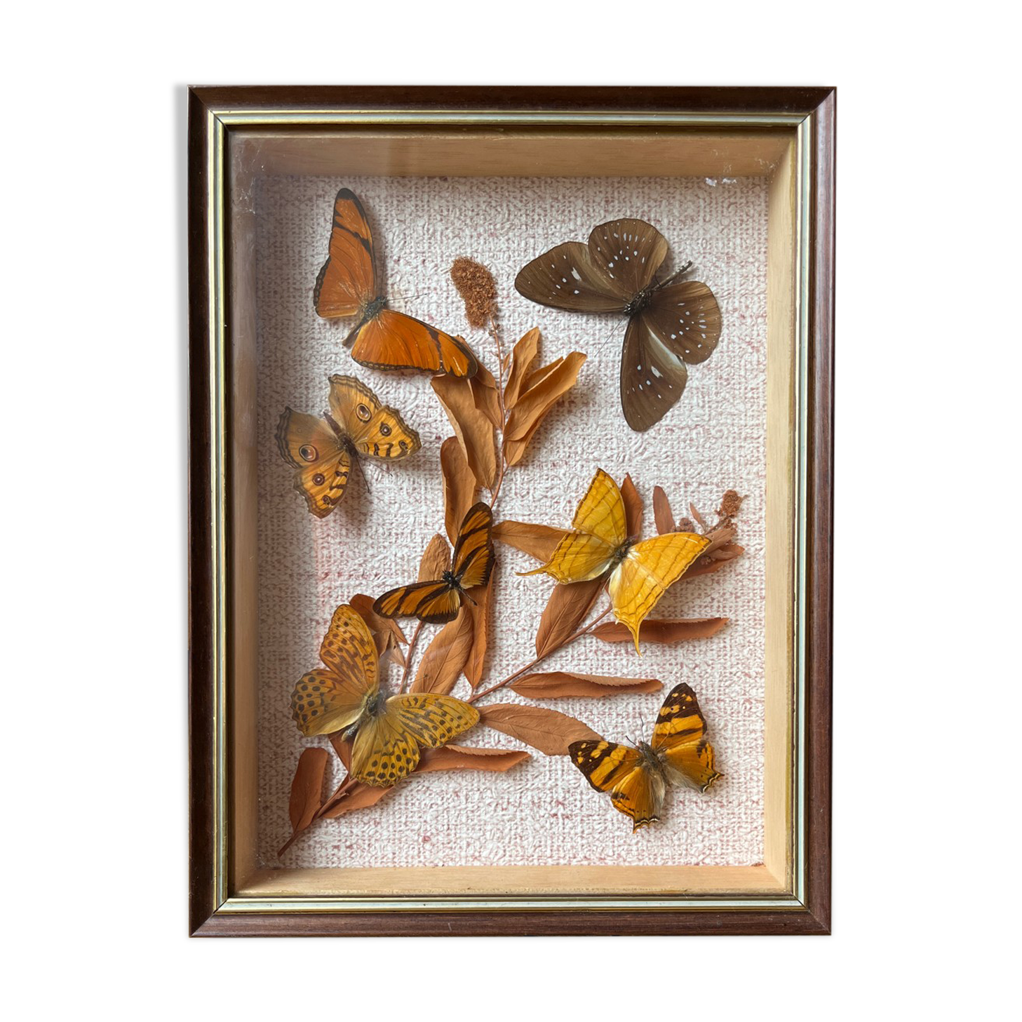 Butterfly frame