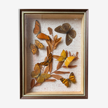 Butterfly frame