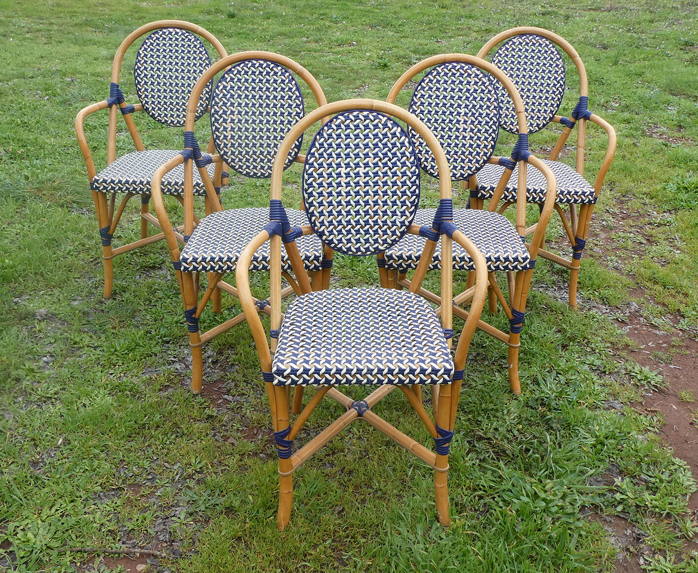 Lot de 5 fauteuils bistrot de terrasse type "parisienne" blanc et bleu