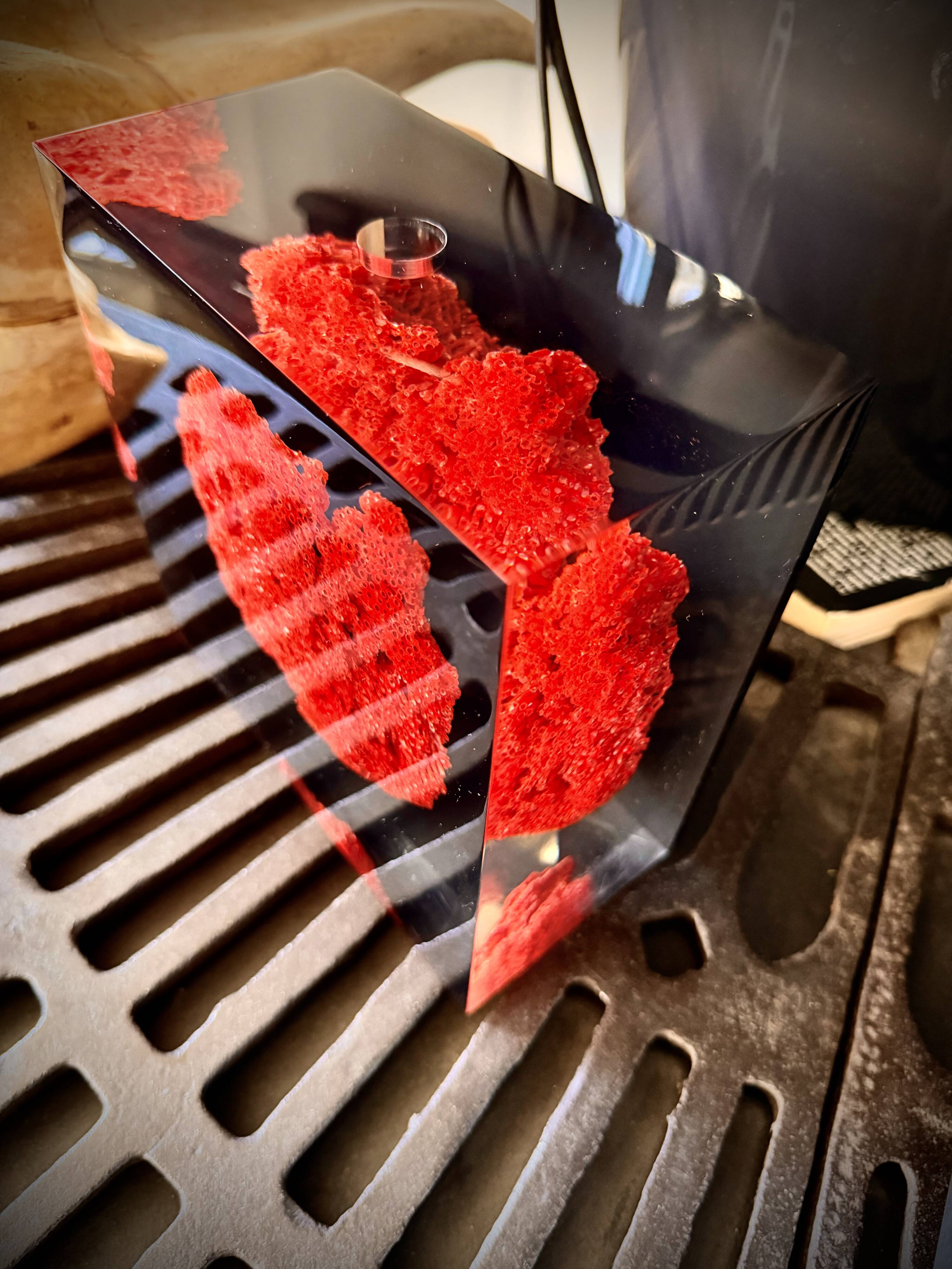 Coral red inclusion lamp by Pierre Giraudon