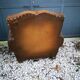 Leather club chair
