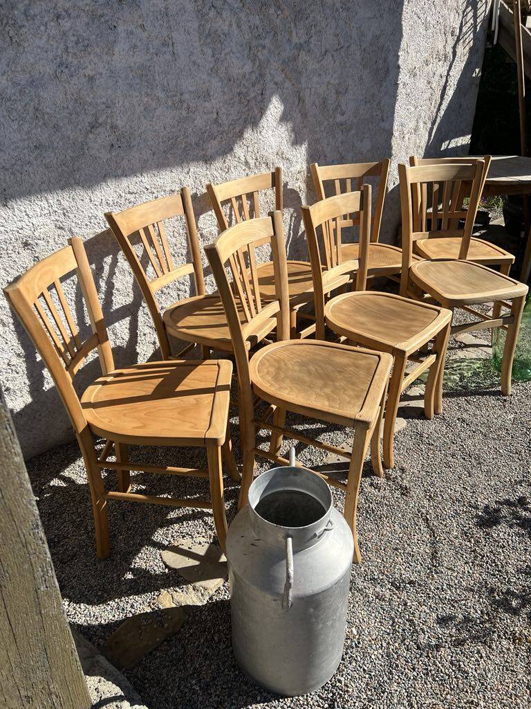 Bristot chairs