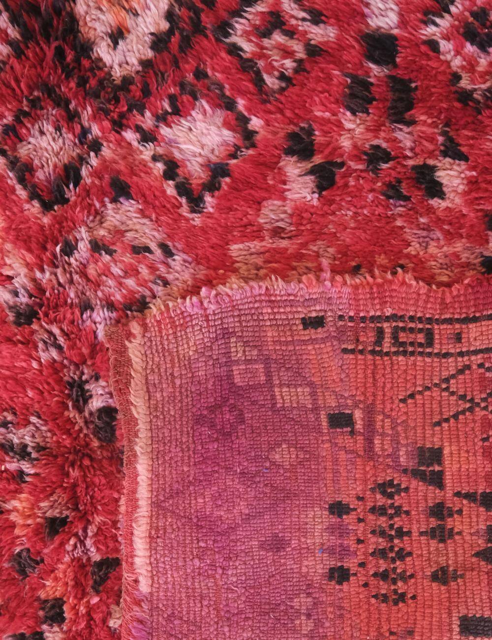 Berber Collector's Rug - 315 x 194 cm