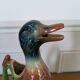 Duck pitcher