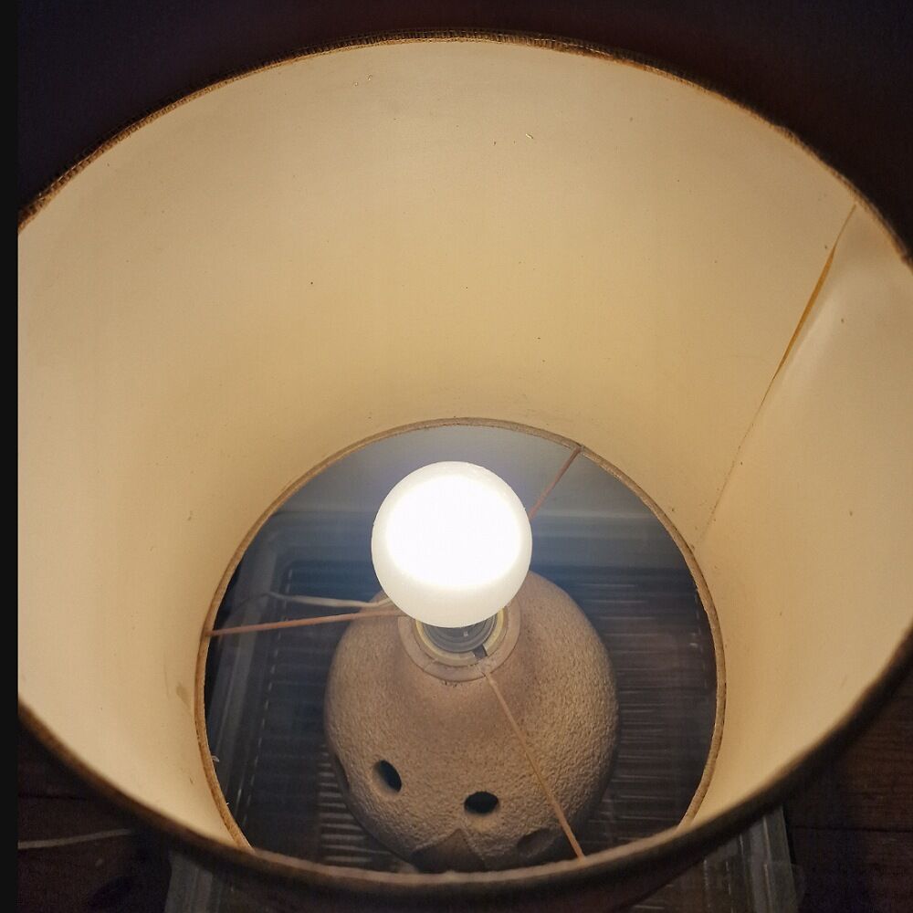 Vintage herbarium lamp