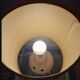 Vintage herbarium lamp