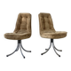 pair of Gastone Rinaldi swivel chairs for RIMA, 1970s