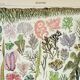 Old engraving 1898, Algae, marine plant, flora • Lithograph, Original plate