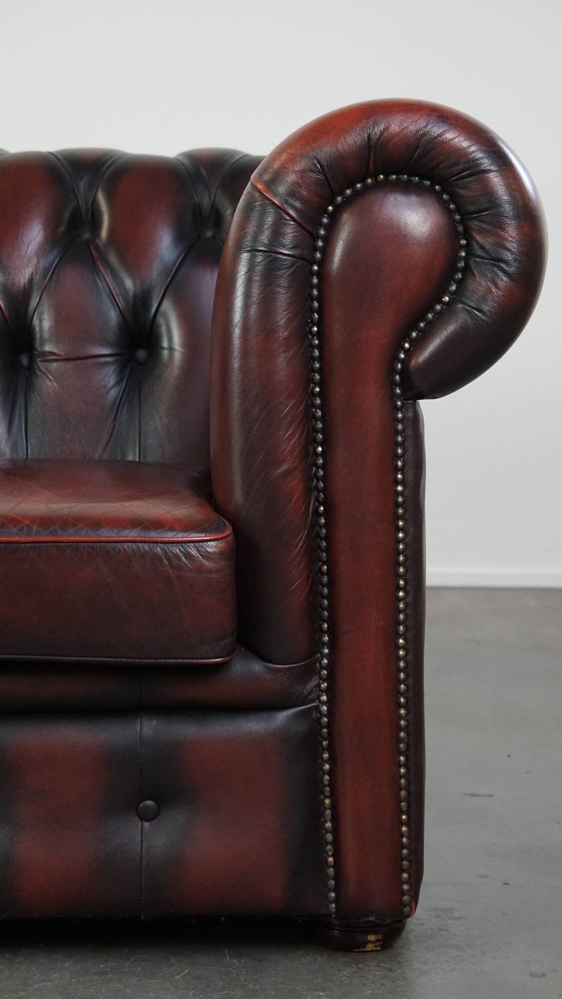 2.5-seater Chesterfield sofa in dark red flamed cowhide leather