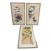 Trio de planches ornithologiques japonaises