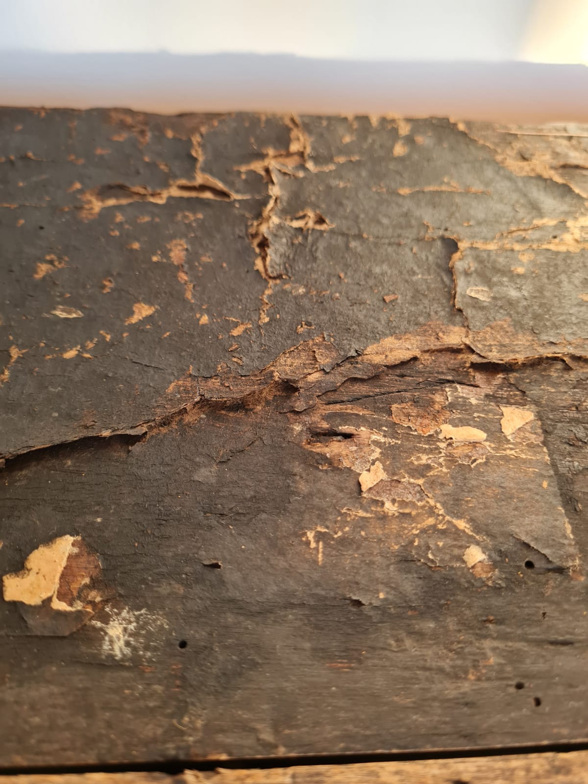 Malle de Layetier (1820)