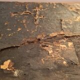 Malle de Layetier (1820)