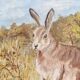 Huile sur toile lièvre lapin