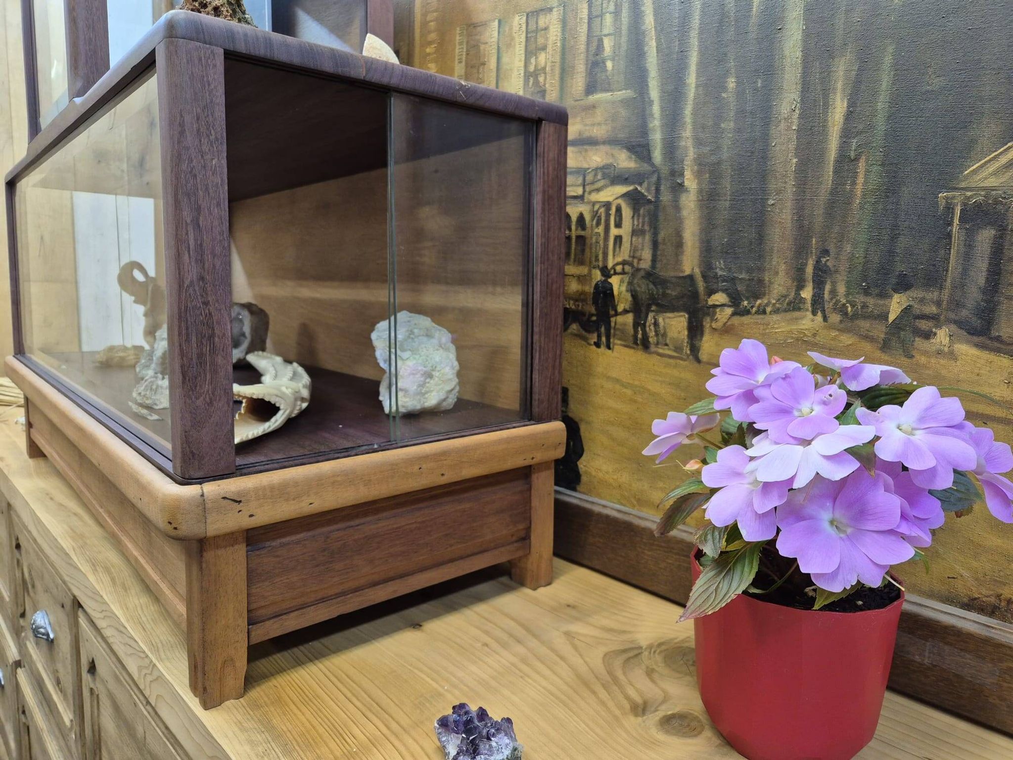 Antique amaranth display cabinet from the 1930s.