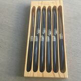 Set of 10 Laguiole Knives