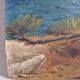 Coastal edge with leaning pine - Oil on cardboard