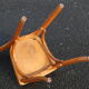 Set of 6 chairs Bistro baumann beech clear n ° 13