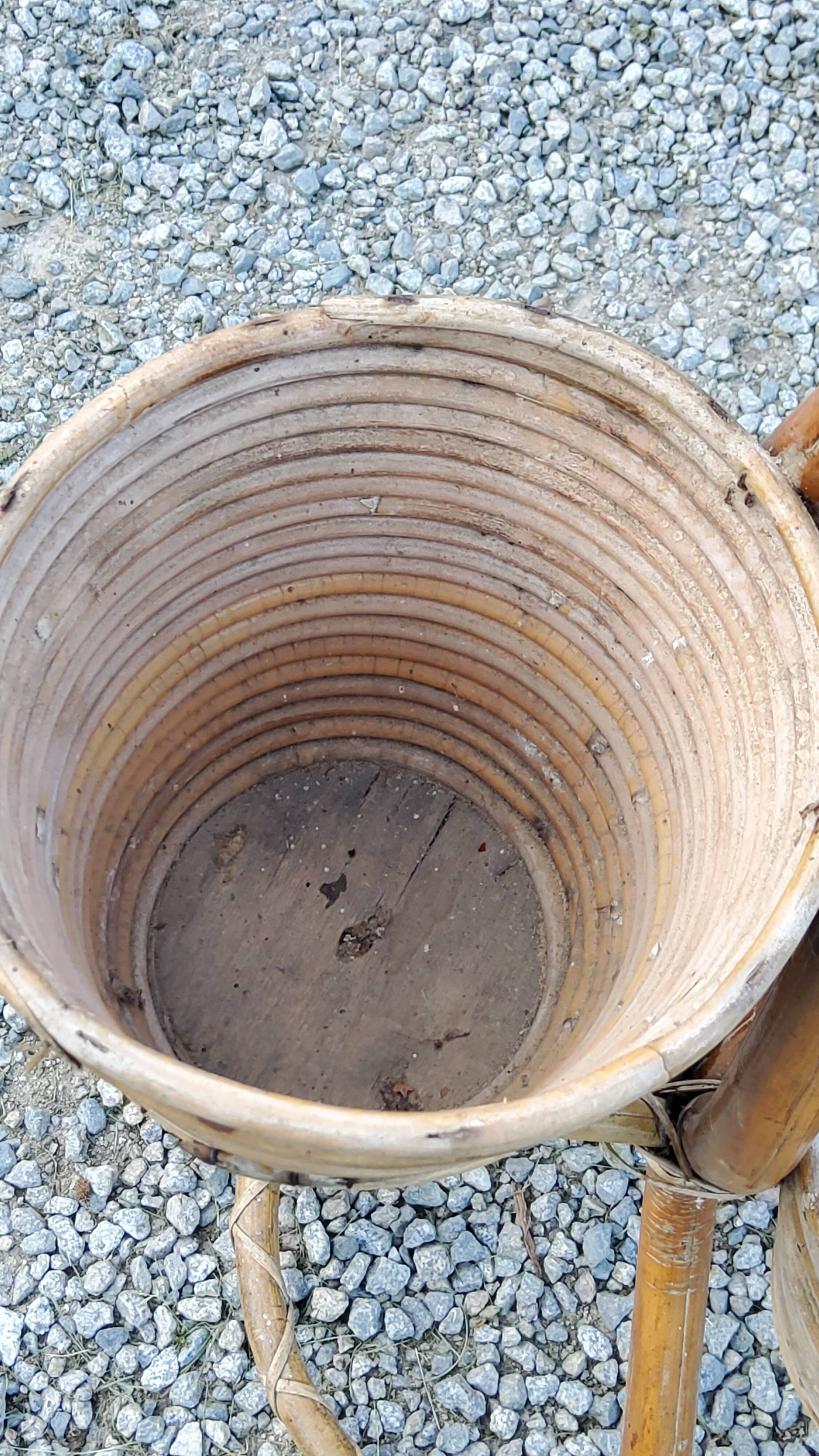 Rattan and bamboo plant holder from the 50s